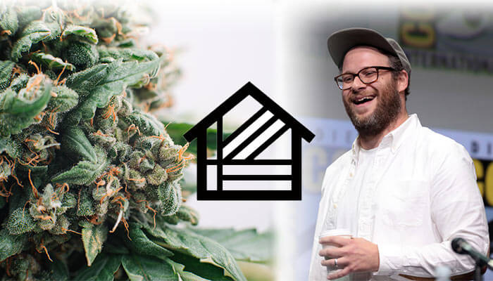 Seth-Rogen-Cannabis-Company-Houseplant