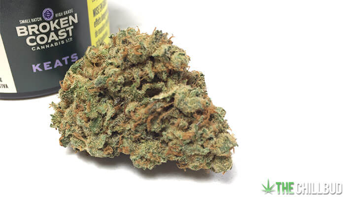 Broken-Coast-Keats-Cannabis-Strain-Review