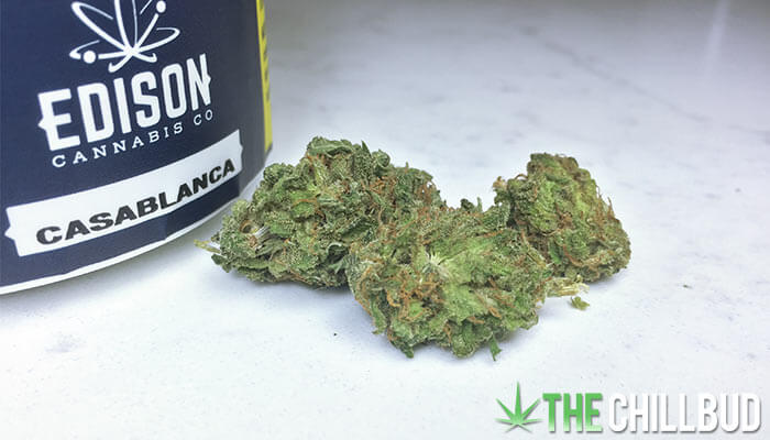 Casablanca-Edison-Cannabis-Co-Strain-Review