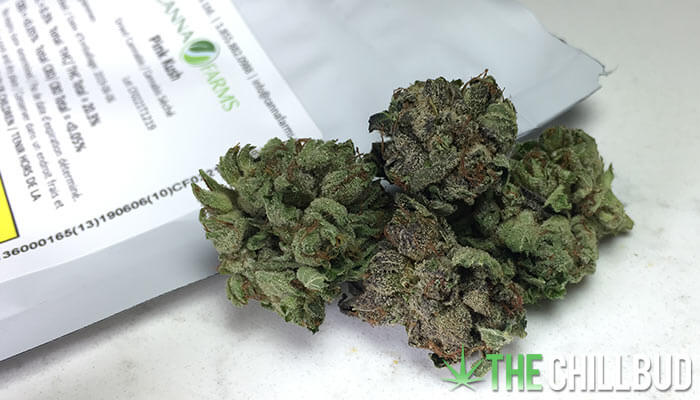 Pink-Kush-by-Canna-Farms-Strain-Review