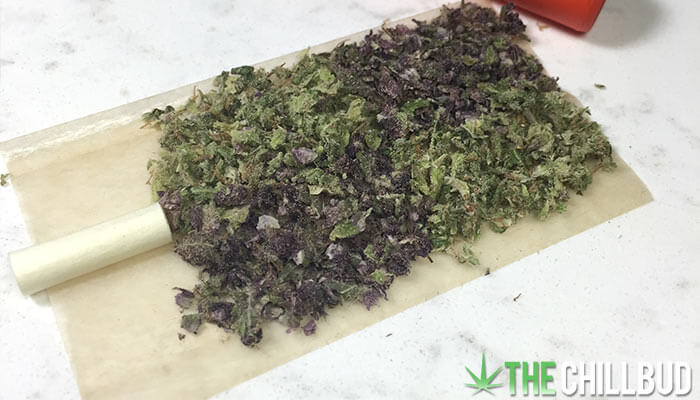 Turning-Green-Weed-Purple