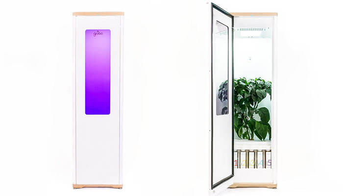 Grobo-automated-grow-box-for-cannabis