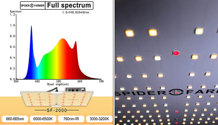 Light-Spectrum-Analysis-SF-2000